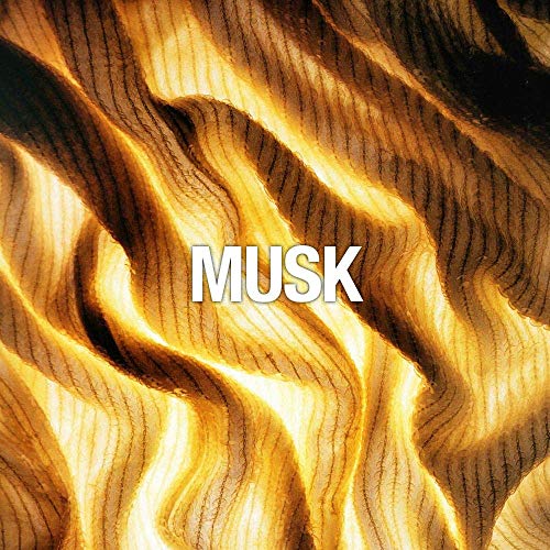 wet n' wild WILDSHINE 3pc Nail Color Set .41 fl oz each