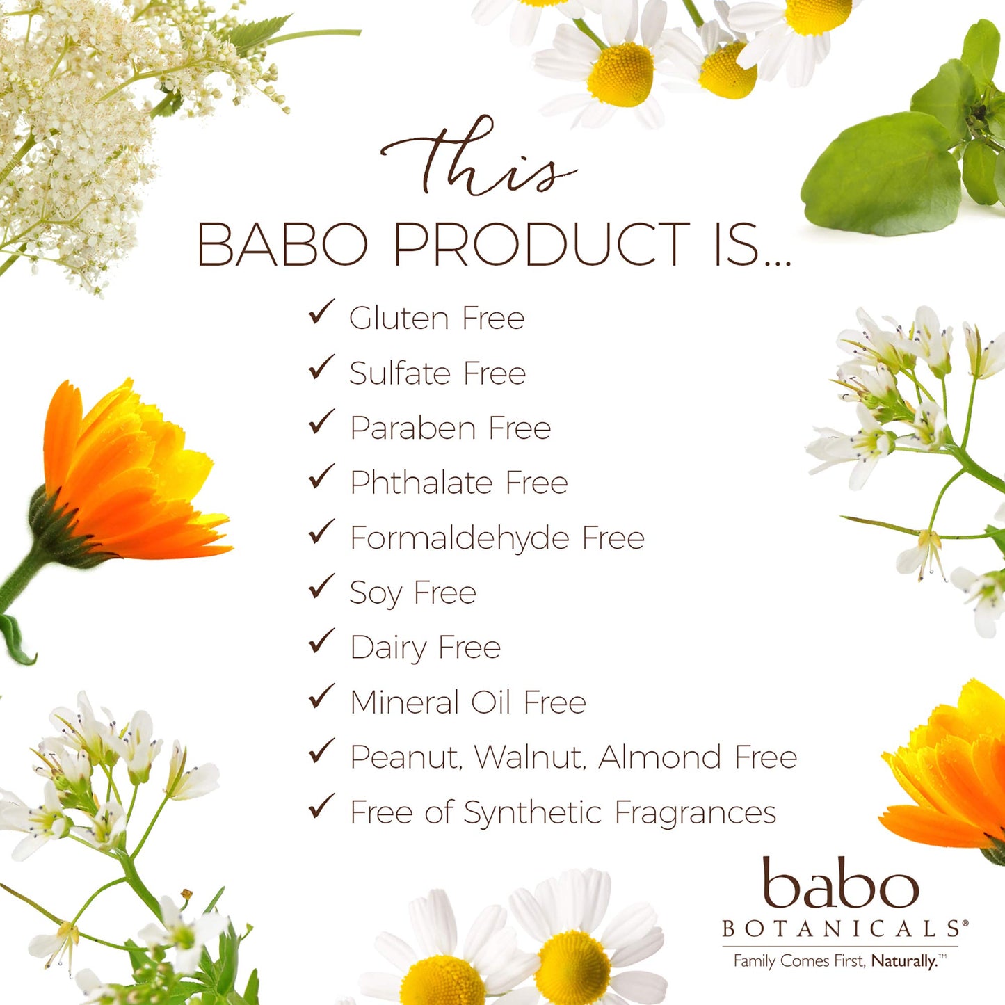 Babo Botanicals Babo Botanicals Lice Repellent Shampoo, 8 Oz