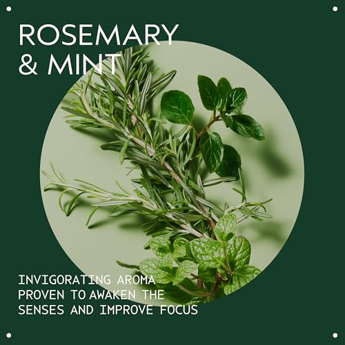 Aveda Rosemary Mint Purifying Shampoo | Clarifying Shampoo | Adds Shine | for Normal to Oily Hair, Fine to Medium Hair Types | 97% Naturally Derived*