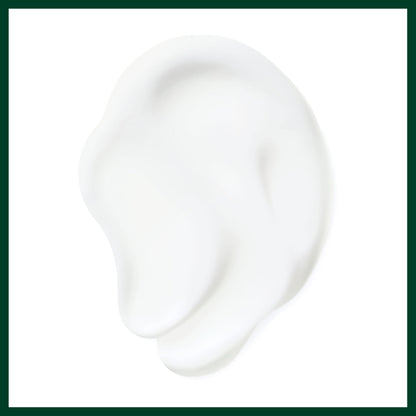 Aveda Nutriplenish Daily Moisturizing Treatment 5.0 fl oz (150ml)