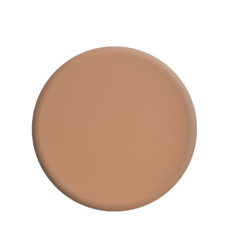 Nails Inc. HERO SHADE Nail Polish, Cardogan Square  .33 fl oz