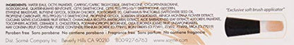Sorme Cosmetics Perfect Touch Concealer Pen True Ivory, 0.10 Ounce