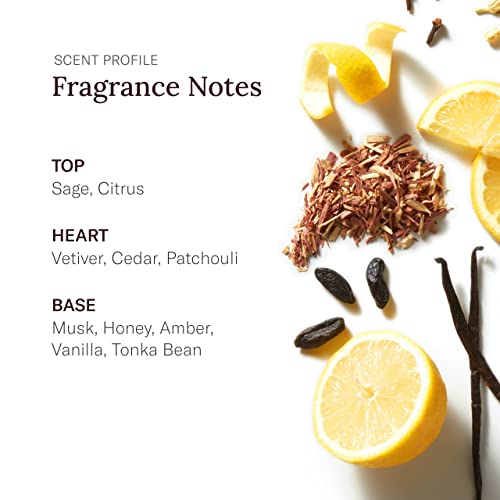 Stetson ORIGINAL Hair Body Wash   13 fl oz