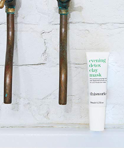 this works* EVENING DETOX Clay Mask   1.7 fl oz