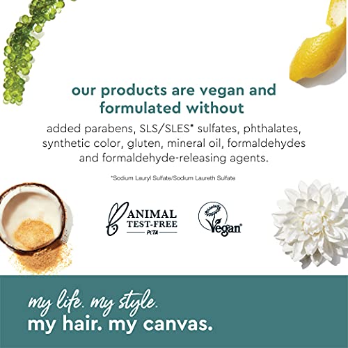 Alterna My Hair My Canvas Meltaway No-Rinse Micellar Cleanser 3.4 Fl Oz | Vegan | Fast Drying Creme-to-Powder Cleanser, Absorbs Oil & Sweat for Shower Clean Hair | Peta Tested, 3.4 fl. oz.