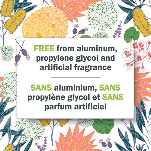 schmidt's ROSE + VANILLA Natural Soap with Exfoliating Vanilla Bean  5oz