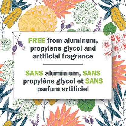 schmidt's ROSE + VANILLA Natural Soap with Exfoliating Vanilla Bean  5oz