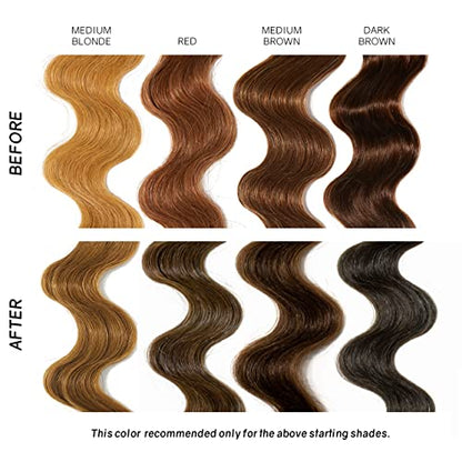 Overtone GOLDEN BROWN Daily Conditioner  8 fl oz
