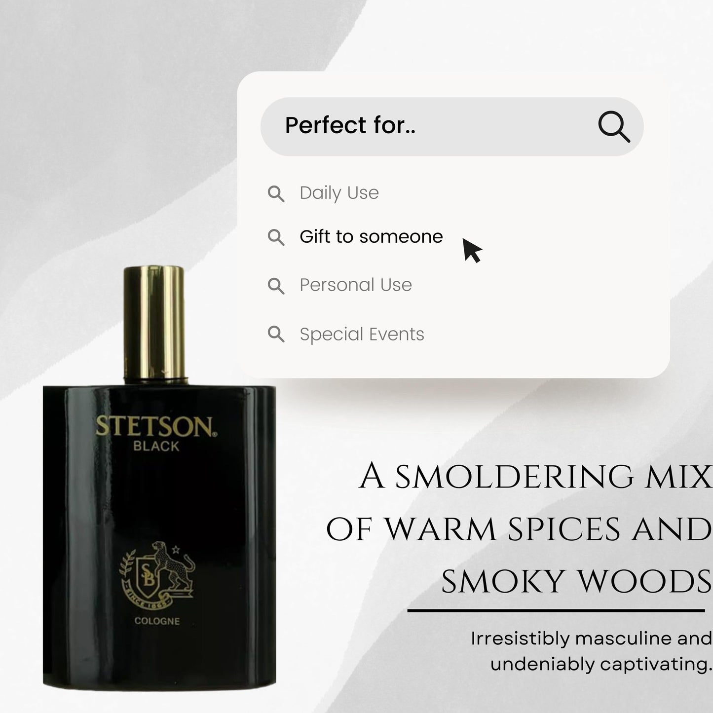 Stetson Black Cologne Spray for Men 3.4 oz