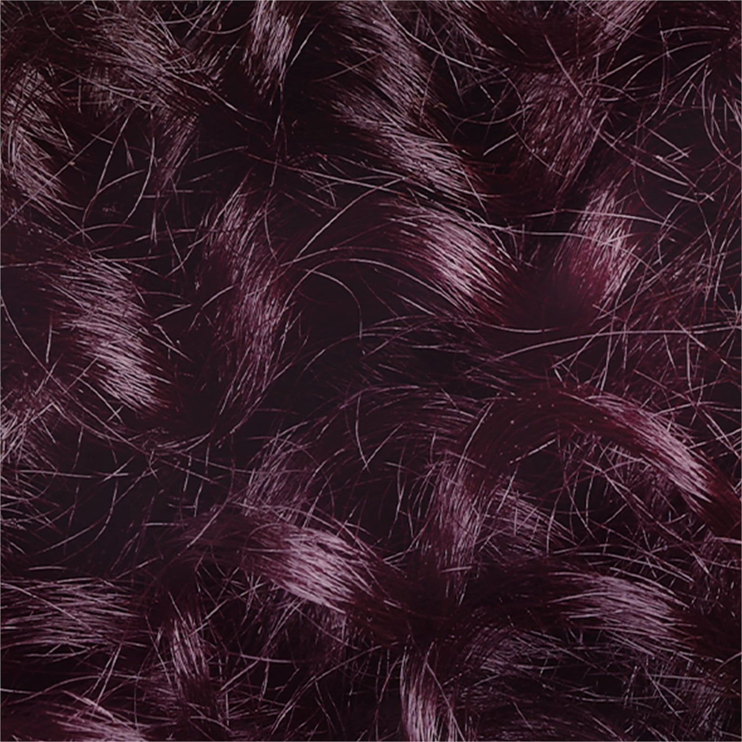 L'Oreal Paris Le Color Gloss one Step Hair Color Toning Gloss, Iridescent Plum Purple, 4 fl oz