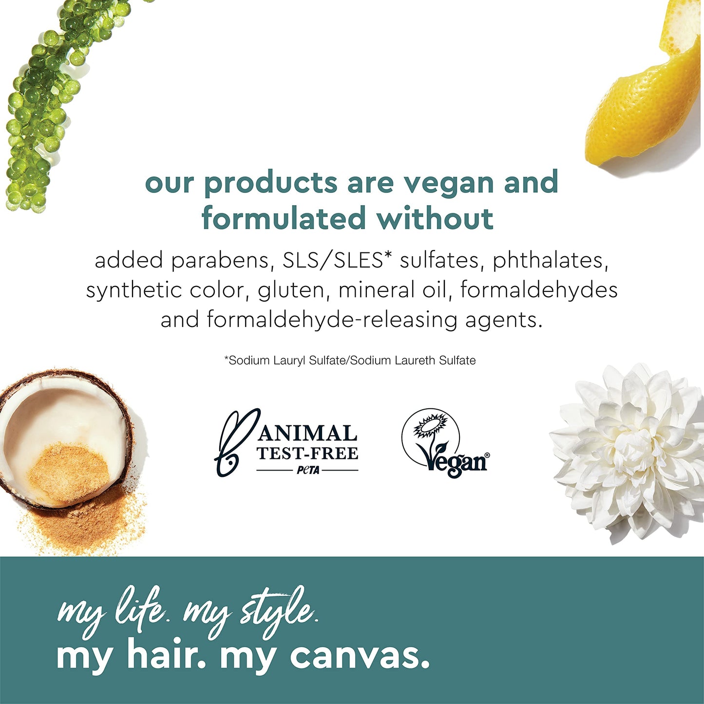 Alterna My Hair My Canvas Meltaway No-Rinse Micellar Cleanser 3.4 Fl Oz | Vegan | Fast Drying Creme-to-Powder Cleanser, Absorbs Oil & Sweat for Shower Clean Hair | Peta Tested, 3.4 fl. oz.