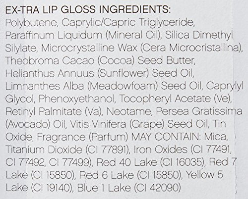 elf EX-tra Lip Gloss,  22116 Brent Inspire .09 fl oz