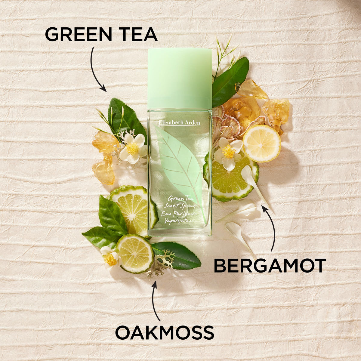 Elizabeth Arden Green Tea Eau Parfume Spray for Women 3.4 oz New in Box