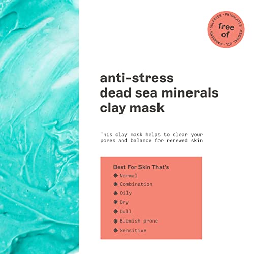 FREEMAN 6oz Clay Facial Masks