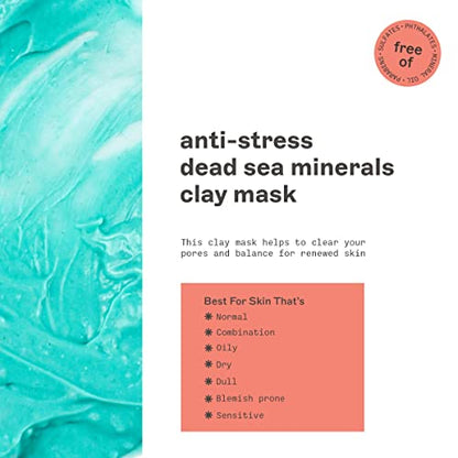 FREEMAN 6oz Clay Facial Masks