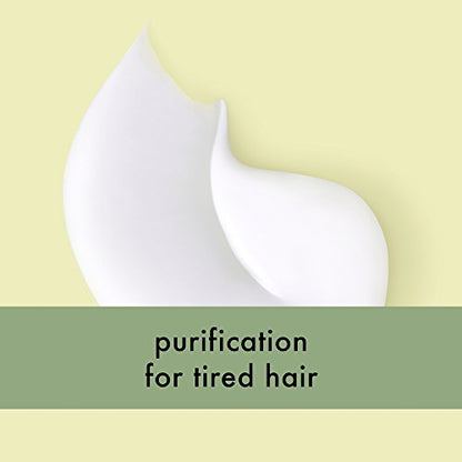beauty & Planet RADICAL REFRESHER Conditioner for Tired Hair 2 pack