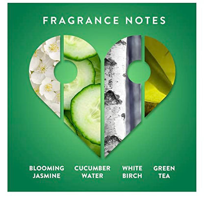 Find Your Happy Place AFTER THE RAIN Body Lotion, White Birch & Jasmine   10 fl oz