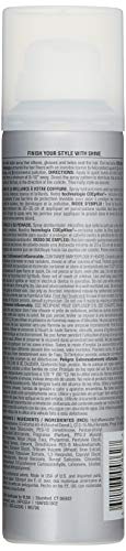 Rusk Pro GLOSS 04 Shine Spray, Sikens, Glosses, and Seals Fine Hair   4oz
