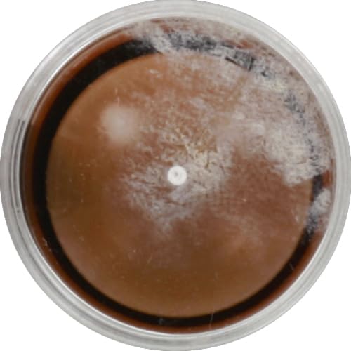 MegaGlo Vitamin E Makeup Stick