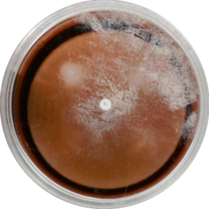 MegaGlo Vitamin E Makeup Stick