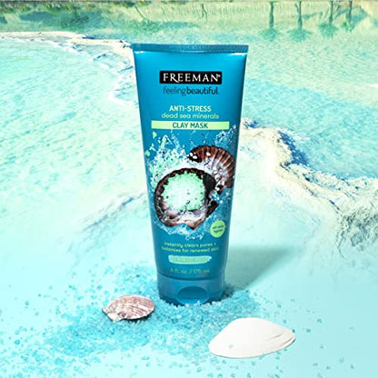 FREEMAN 6oz Clay Facial Masks