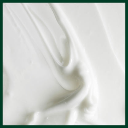 Aveda Scalp Solutions Replenishing Conditioner 6.7 oz